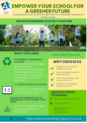 Sustainability Enrichment Activities